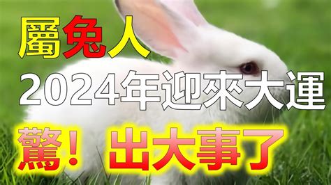 屬兔 幸運色|2024屬兔旺運秘訣：紫色、銀色助你財運亨通 